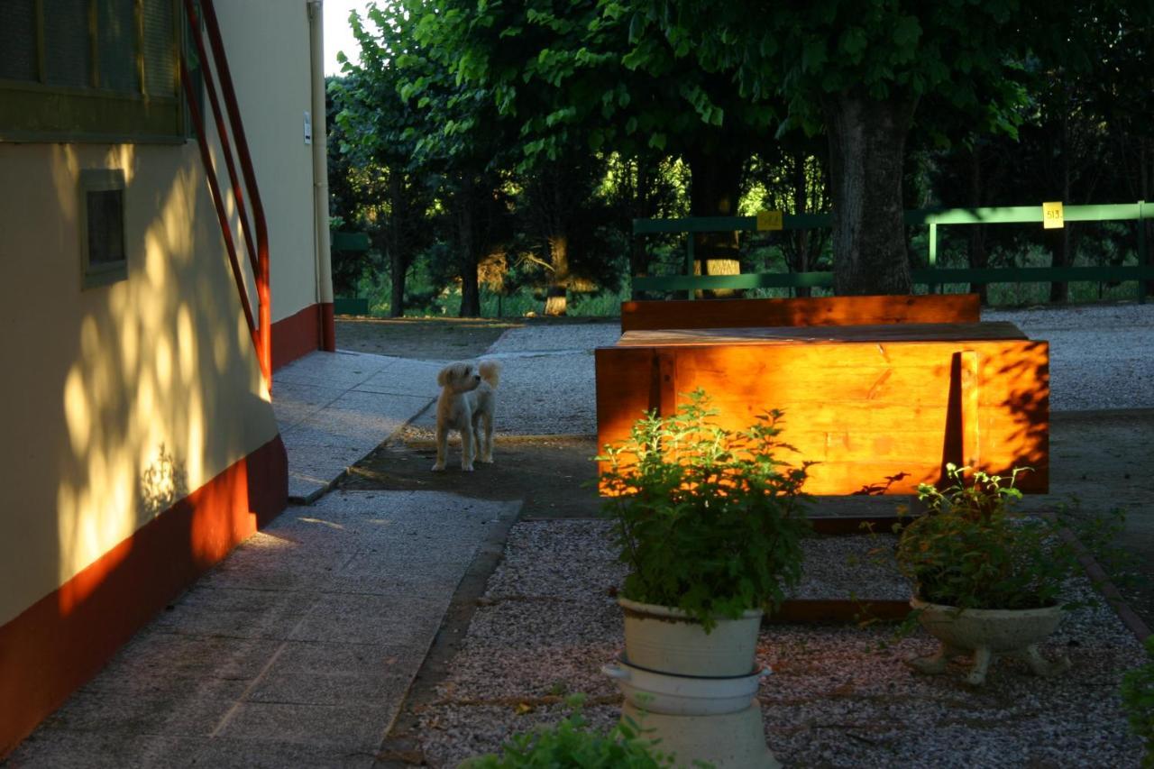 Villa Lilli 2 Ferrara Exterior foto